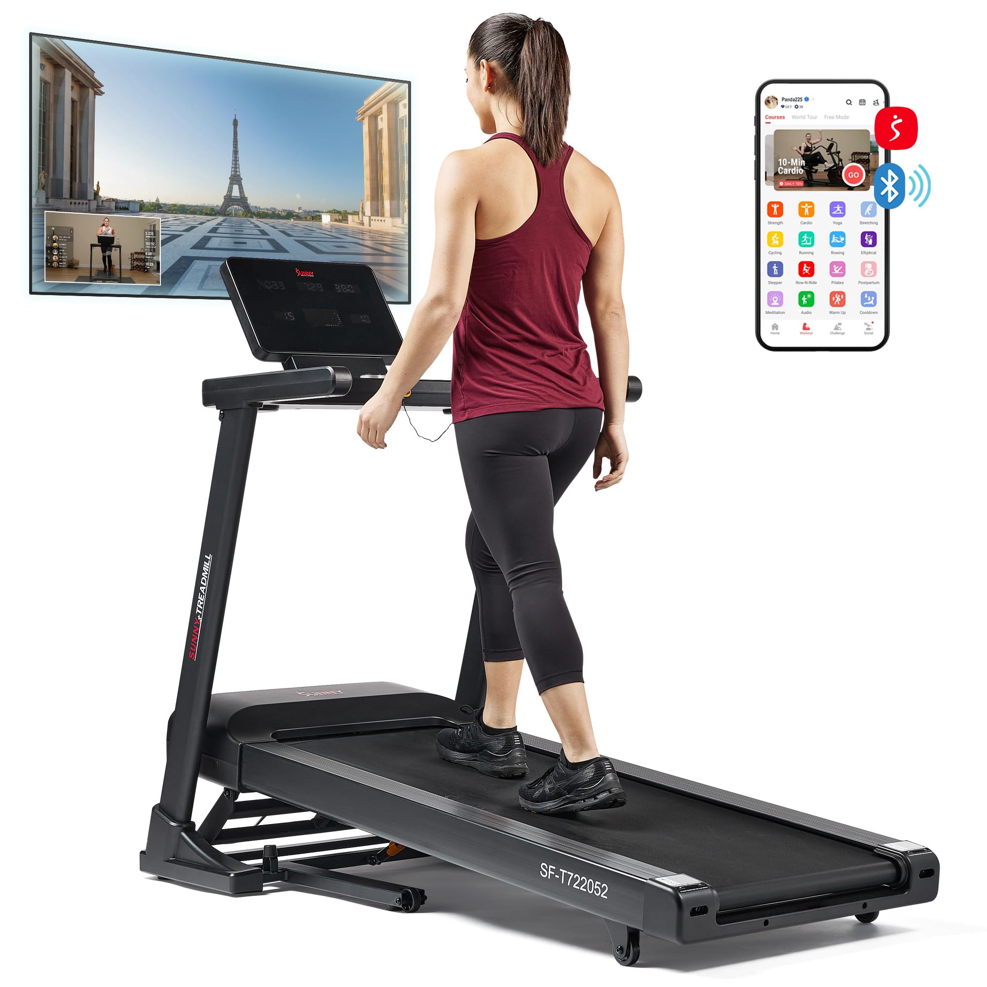 Sunny Health & Fitness Astra Elite Advanced Brus...