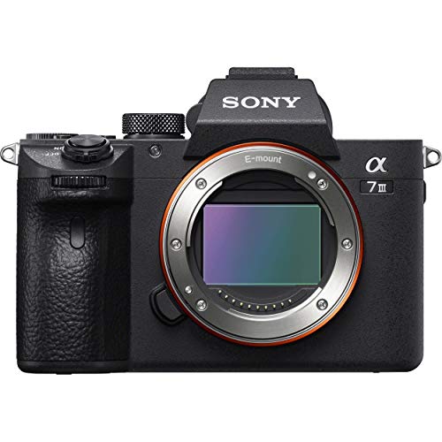 Sony a7 III Full-frame Mirrorless Interchangeable-Lens ...