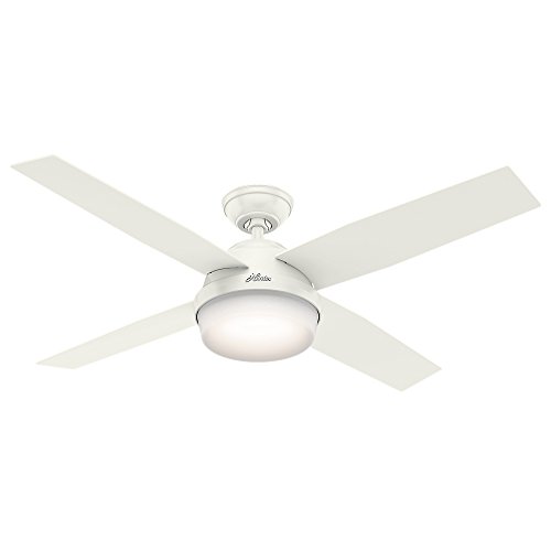 Hunter Fan Company Hunter Dempsey Indoor / Outdoor Ceiling Fan with LED Light and Remote Control, 52