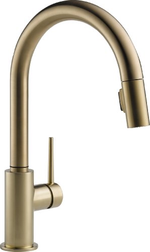Delta Faucet Trinsic Single-Handle Kitchen Sink Faucet ...