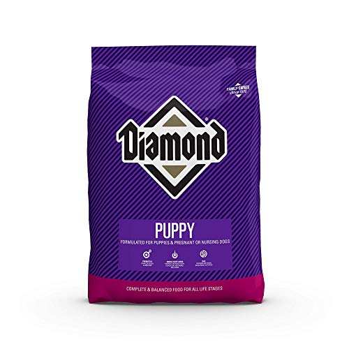 Diamond Pet Foods Diamond Premium Puppy Complete and Balanced Dry Dog Food Formula Protein, and Probiotics