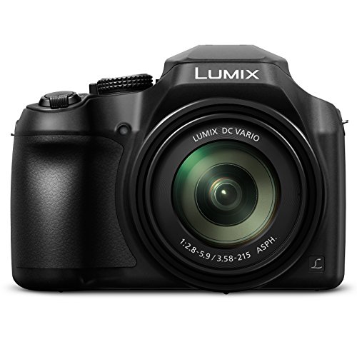 Panasonic LUMIX FZ80 4K Digital Camera, 18.1 Megapixel ...