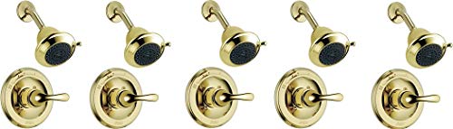 Delta Faucet T13220-PBSHC Classic MonitorR 13 Series Shower Trim, Polished Brass