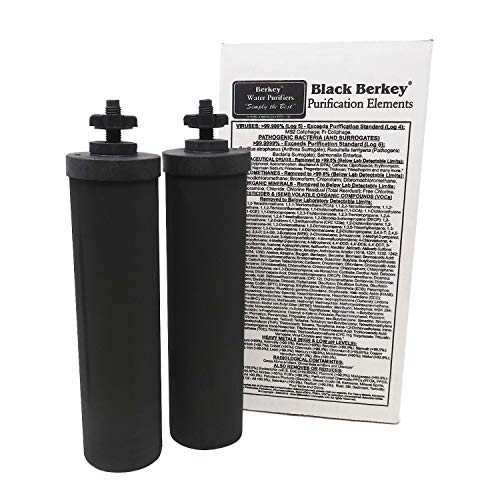 Berkey Authentic Black Purification Elements -  Water Purifier Replacement Filters (Pack of 2)