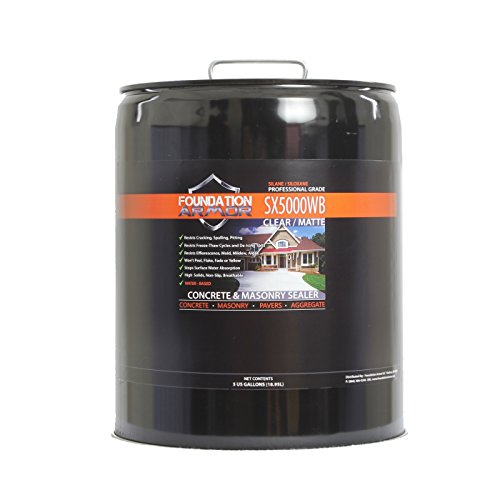 Foundation Armor 5-Gal. SX5000 WB DOT Approved Water Ba...