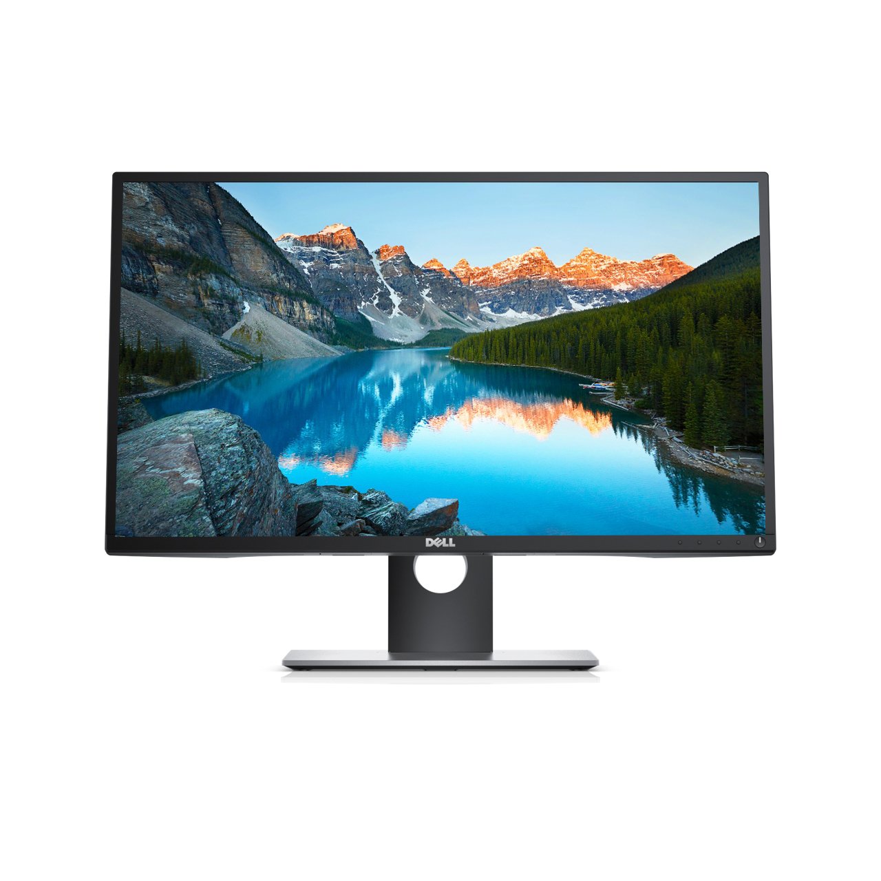 Dell Professional P2017H 19.5" Screen LED-Lit Monitor