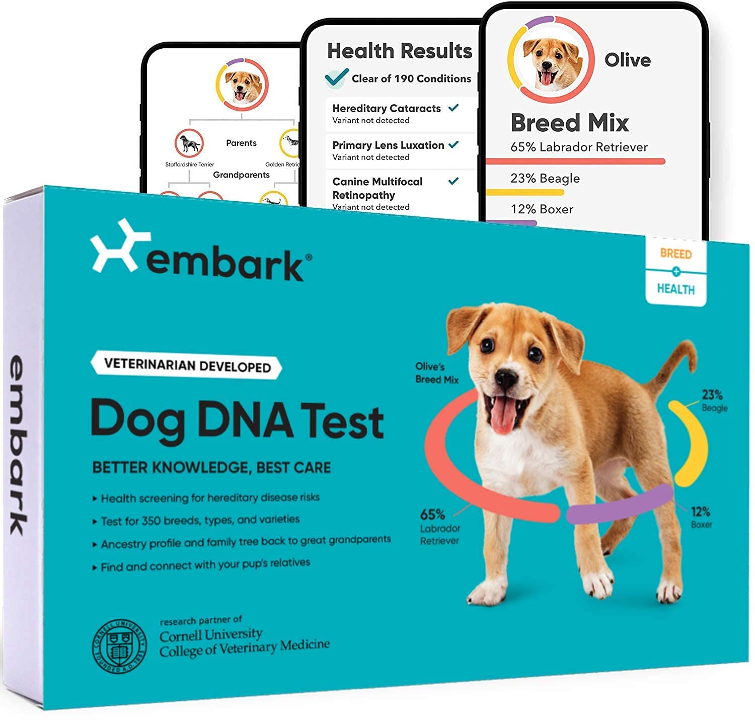 Embark Dog DNA Test Kit | Breed & Genetic Ancestry ...