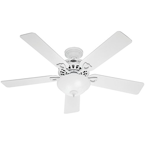 Hunter Astoria Indoor Ceiling Fan with LED Light and Pu...