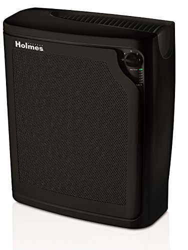 Holmes TRUE HEPA Console Air Purifier with Filter Life Monitor Bar and Quiet Operation | Large Room Air Cleaner - Black (HAP8650B-NU-2)