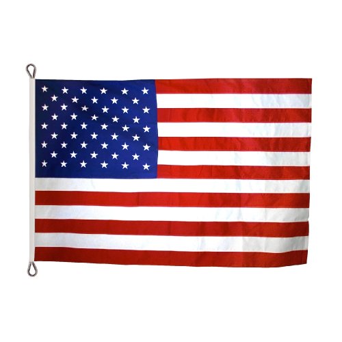 Annin Flagmakers Model 2320 American Flag Nylon SolarGuard NYL-Glo, 8x12 ft, 100% Made in USA with Sewn Stripes, Embroidered Stars and Roped Heading