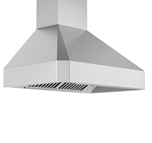 Z Line Kitchen and Bath Wall Mount Range Hood in Stainless Steel (455)