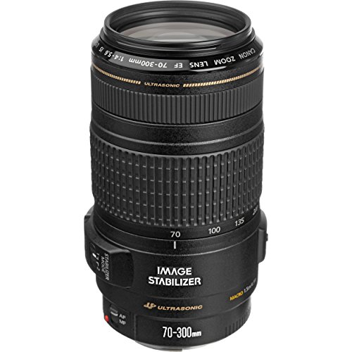 Canon EF 70-300mm f/4-5.6 IS USM Lens for EOS SLR Cameras