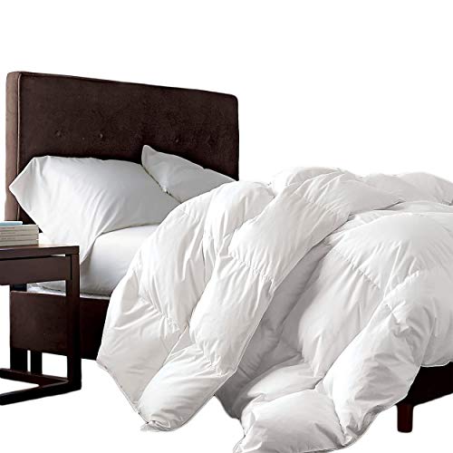 Egyptian Bedding Luxurious Full/Queen Size Siberian Goose Down Comforter, 1200 Thread Count 100% Egyptian Cotton 750FP, 50oz, 1200TC, White Solid
