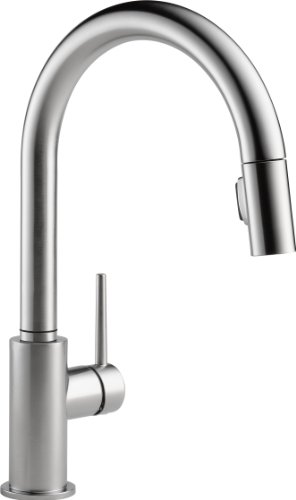 Delta Faucet Trinsic Single-Handle Kitchen Sink Faucet ...