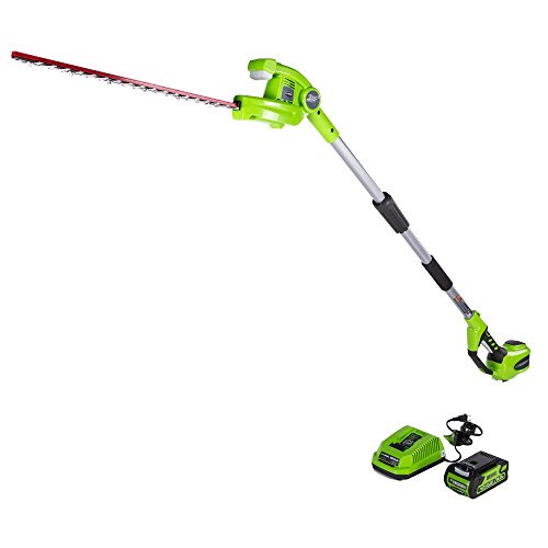 GreenWorks 40V 20 inch Cordless Pole Hedge Trimmer 2.0 AH Battery Included, PH40B210
