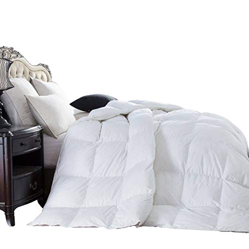 Egyptian Bedding 1200 Thread Count King/California King Goose Down Alternative Comforter 750FP, 50oz, 100% Egyptian Cotton, 1200TC, White Solid