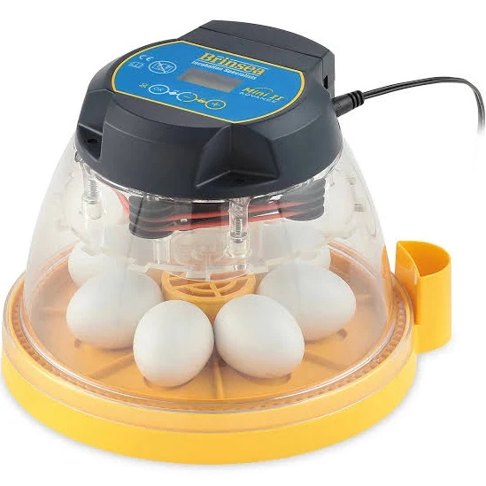 Brinsea Mini II Advance Automatic 7 Egg Incubator, Yellow
